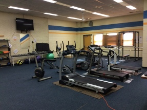 DYSART STAY FIT CLUB Information Sheet.pdf